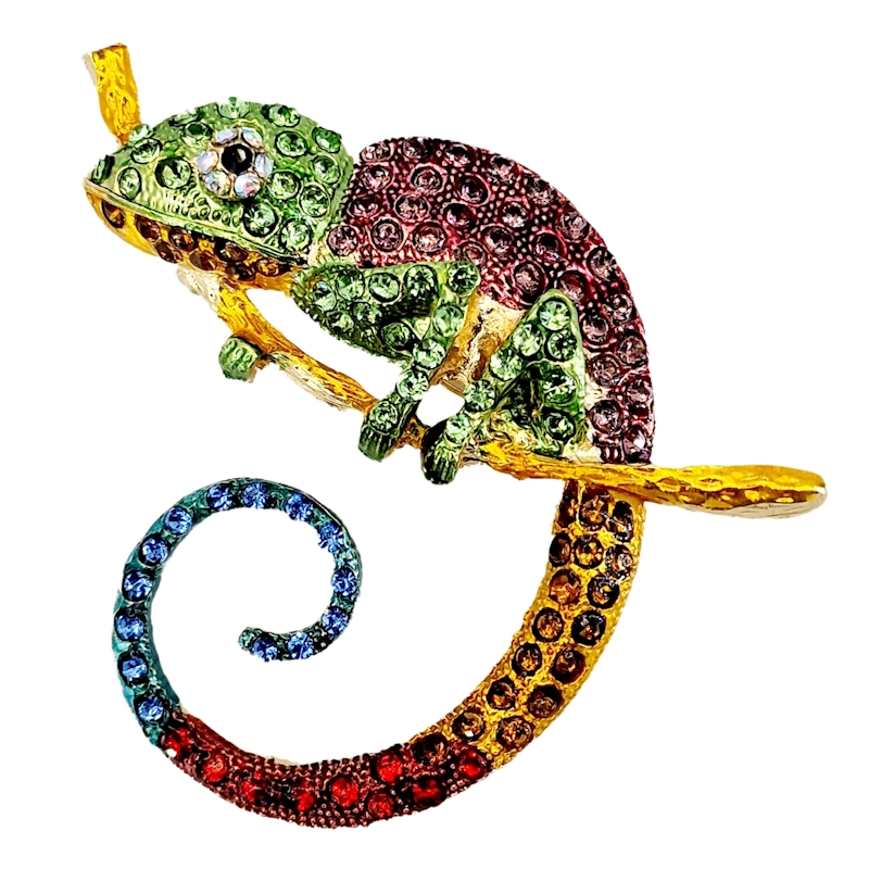 NOXIA 807 - Tęczowy Kameleon